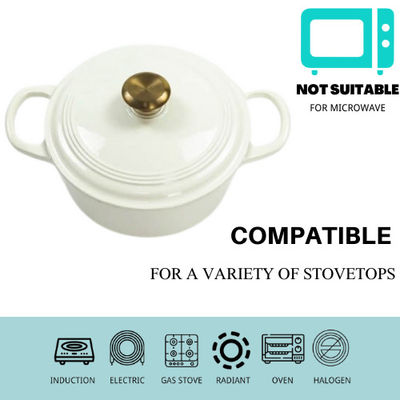 Rust free Cast Iron Casserole 21/22cm Dutch Oven  For 2-4 People