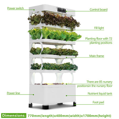 Veggiefloe Hydroponic System – Fresh, Healthy, and Sustainable Home-Grown Vegetables