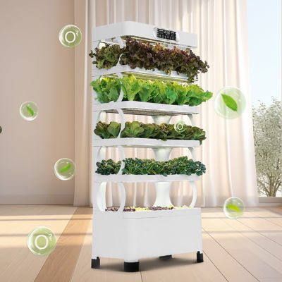 Veggiefloe Hydroponic System – Fresh, Healthy, and Sustainable Home-Grown Vegetables