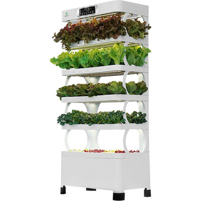 Veggiefloe Smart Hydroponic Vegetable System - The Best Choice For Healthy Homegrown Vegetables