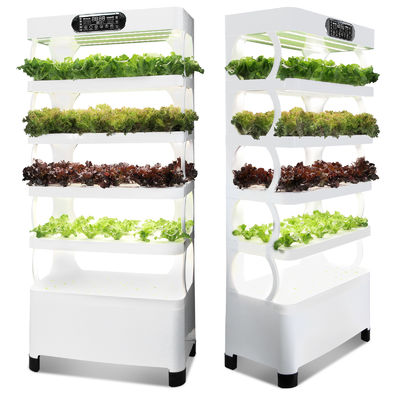Veggiefloe Hydroponic System – Fresh, Healthy, and Sustainable Home-Grown Vegetables