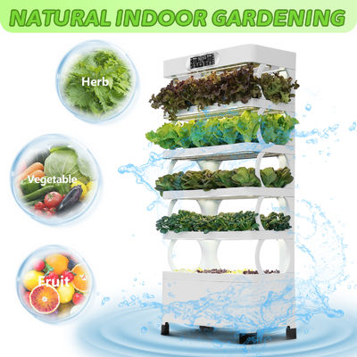 Veggiefloe Organic Hydroponic System for Restaurants & Chefs: Grow Specialty Herbs and Fresh Vegetables All Year Round