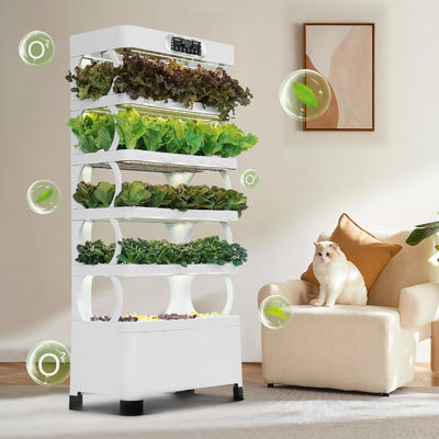 Veggiefloe Hydroponic System for Schools: Hands-On Learning and Healthy Eating for Kids